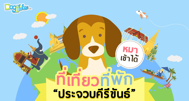 Dogilike.com :: ͹ѡͧѡ͹ШǺբѹ Ѻҹ ѡ Ǿҹͧ !!