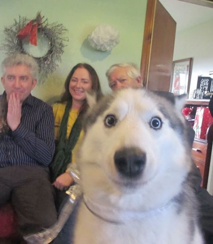 Dogilike.com :: 10+ Ҿ PhotoBomb ͧҹͧҨ觫չ !!