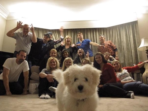 Dogilike.com :: 10+ Ҿ PhotoBomb ͧҹͧҨ觫չ !!
