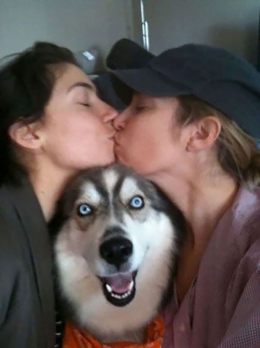 Dogilike.com :: 10+ Ҿ PhotoBomb ͧҹͧҨ觫չ !!