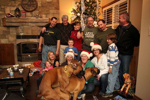 Dogilike.com :: 10+ Ҿ PhotoBomb ͧҹͧҨ觫չ !!
