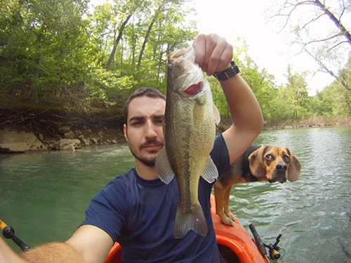 Dogilike.com :: 10+ Ҿ PhotoBomb ͧҹͧҨ觫չ !!