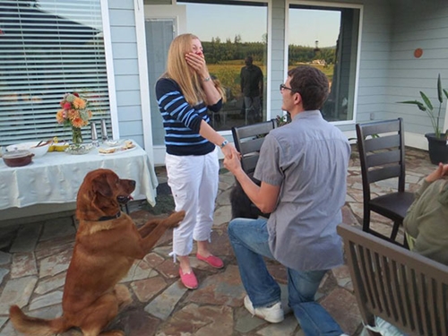 Dogilike.com :: 10+ Ҿ PhotoBomb ͧҹͧҨ觫չ !!