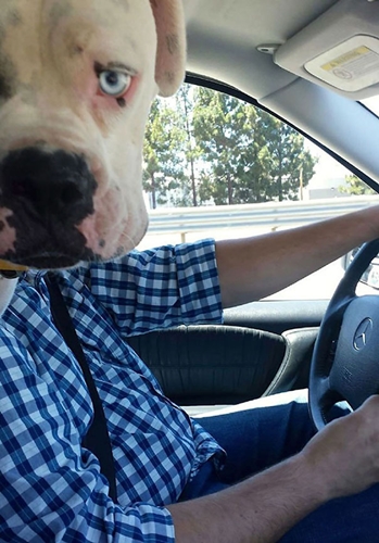 Dogilike.com :: 10+ Ҿ PhotoBomb ͧҹͧҨ觫չ !!
