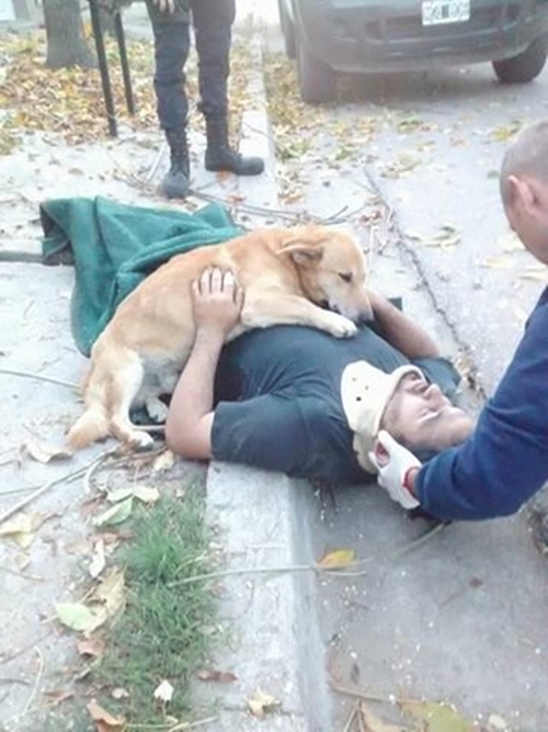 Dogilike.com :: ! عѢѵ͹ʹ˹ҢͧѺҴҧ