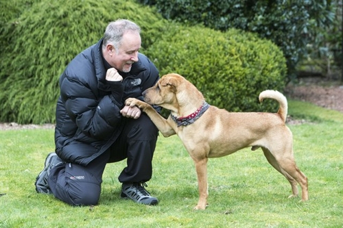 Dogilike.com :: ʹյҵٺ¶١١ʶҹö ѺԵ͹عѢ !