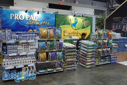 Dogilike.com :: ҷҹ Thailand International Dog Show 2017 ͹ 1