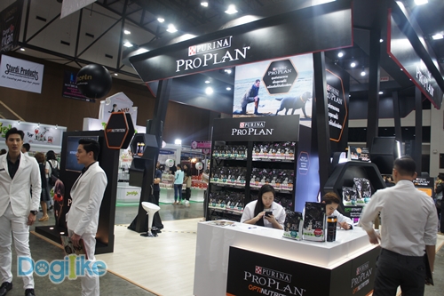 Dogilike.com :: ҷҹ Thailand International Dog Show 2017 ͹ 1