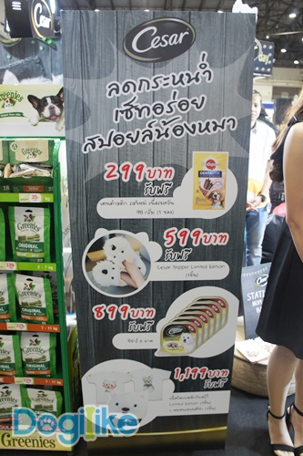 Dogilike.com :: ҷҹ Thailand International Dog Show 2017 ͹ 1