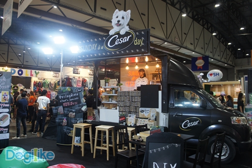 Dogilike.com :: ҷҹ Thailand International Dog Show 2017 ͹ 1