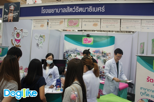 Dogilike.com :: ҷҹ Thailand International Dog Show 2017 ͹ 1