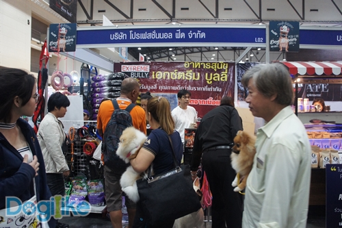Dogilike.com :: ҷҹ Thailand International Dog Show 2017 ͹ 1