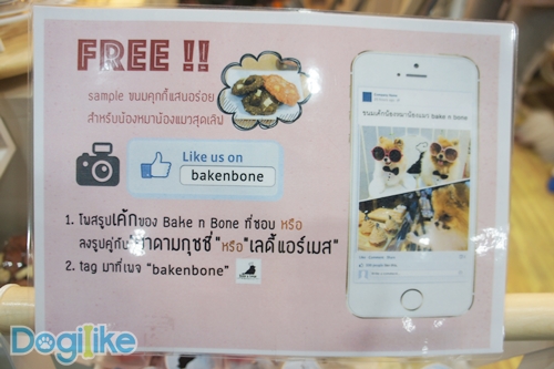 Dogilike.com :: ҷҹ Thailand International Dog Show 2017 ͹ 1