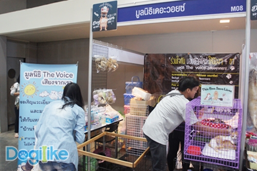 Dogilike.com ::  ҷҹ Thailand International Dog Show 2017 ͹ 2