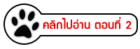 Dogilike.com :: ҷҹ Thailand International Dog Show 2017 ͹ 1