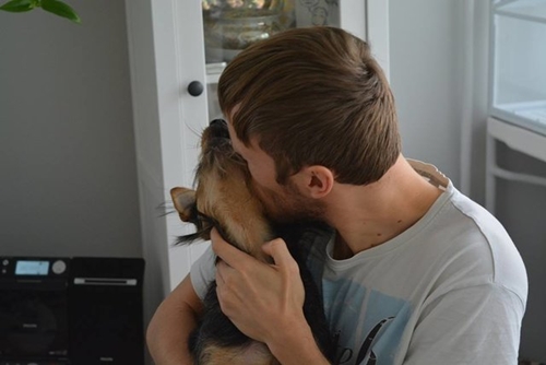 Dogilike.com :: ѡҵٺҴͺź㹷͹ ͹Ѻ§عѢشѡ !