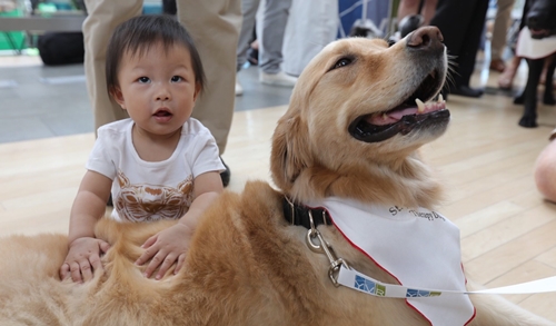 Dogilike.com :: ʹԹ᤹ҴչͧҺӺѴ ¤´Ѻѡͧ !