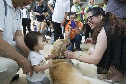 Dogilike.com :: ʹԹ᤹ҴչͧҺӺѴ ¤´Ѻѡͧ !