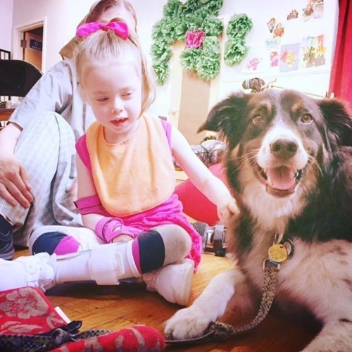 Dogilike.com :: Piggy عѢ 3 Ҽ¹ѹ蹢ͧءʴ !