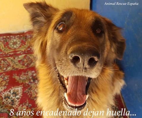 Dogilike.com :: Ի! عѢѺѡ繤á ѧҡ١ҹ 8 