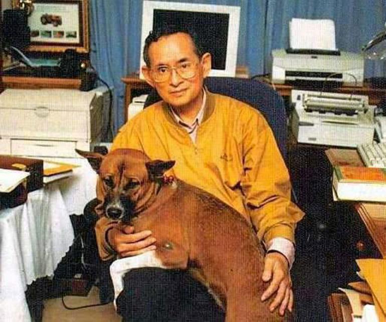 Dogilike.com :: 5 ͧشзѺ㨢ͧǧѪŷ 9 Ѻسͧᴧ