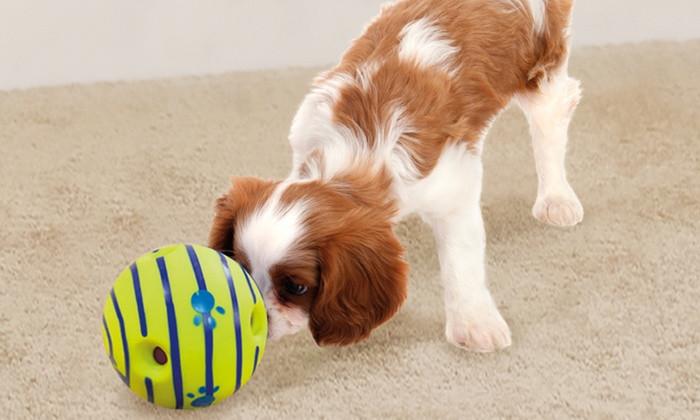 Dogilike.com :: 5 ของเล่นน้องหมาสุดไฮเทคที่ทาสหมาต้องมี !! Dogilike.com :: 5 ของเล่นน้องหมาสุดไฮเทคที่ทาสหมาต้องมี !!