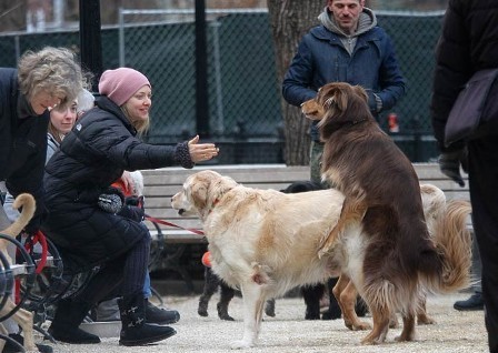 Dogilike.com :: ¤ѺԴ÷ͧͧ ... 鹢ѹҡѹҧ?