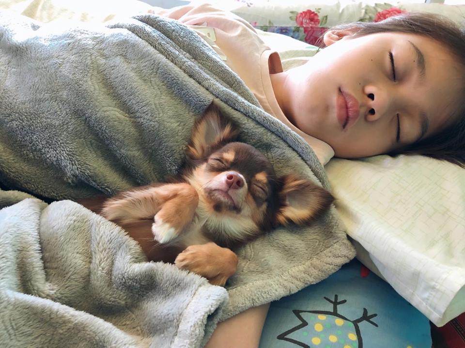 Dogilike.com :: ɳ ... ͧǹѡҧ˭ԧѺͧҪ չйͧӻ