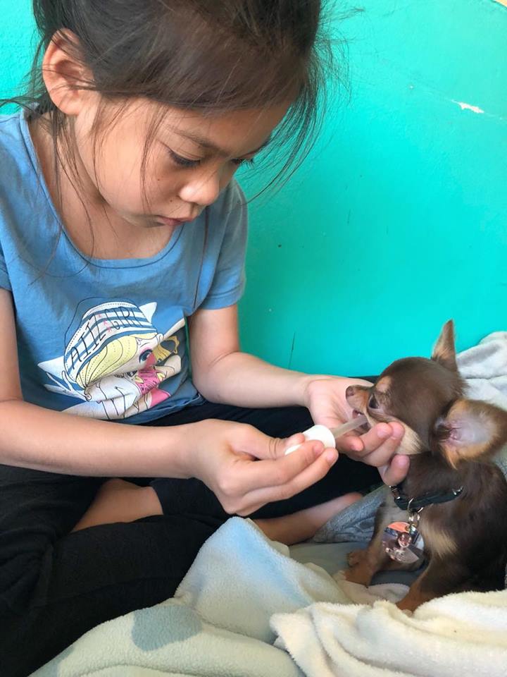 Dogilike.com :: ɳ ... ͧǹѡҧ˭ԧѺͧҪ չйͧӻ