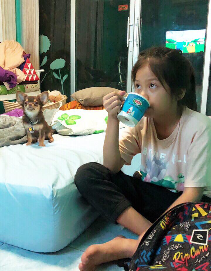 Dogilike.com :: ɳ ... ͧǹѡҧ˭ԧѺͧҪ չйͧӻ