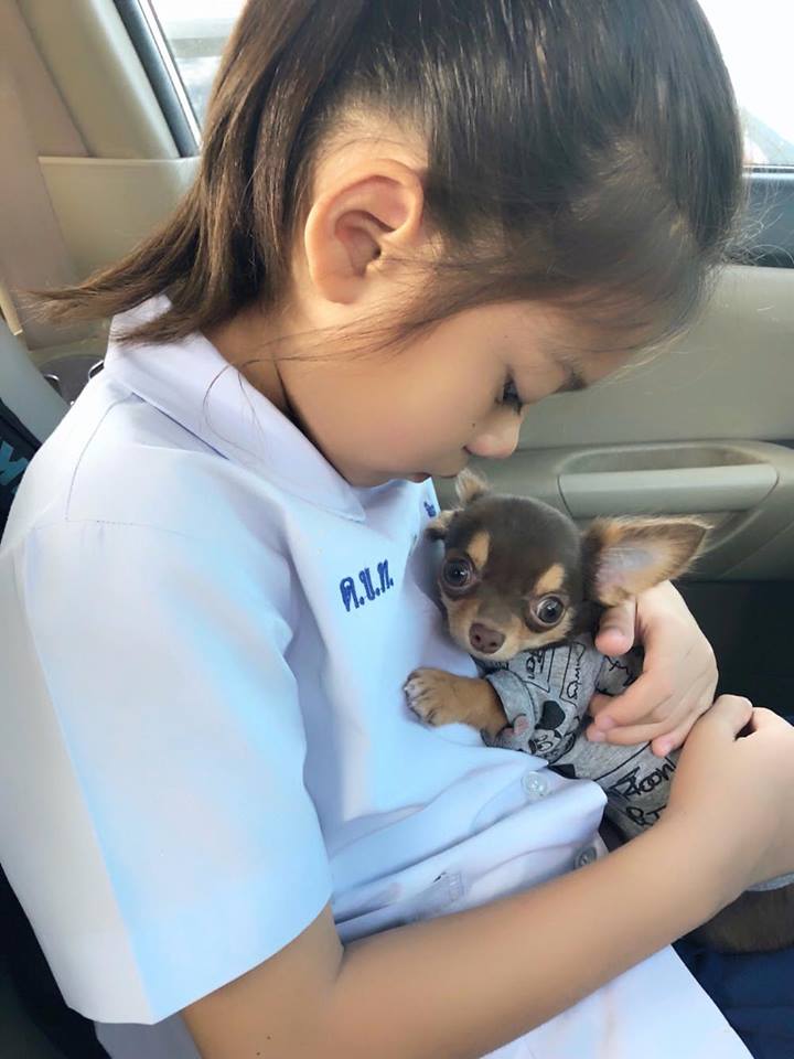 Dogilike.com :: ɳ ... ͧǹѡҧ˭ԧѺͧҪ չйͧӻ