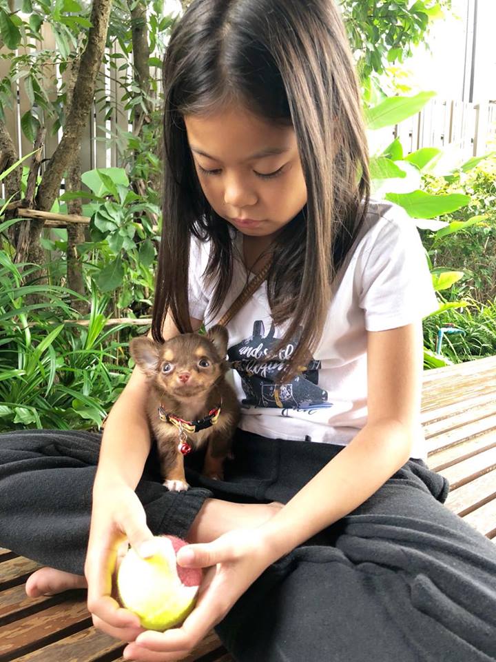 Dogilike.com :: ɳ ... ͧǹѡҧ˭ԧѺͧҪ չйͧӻ