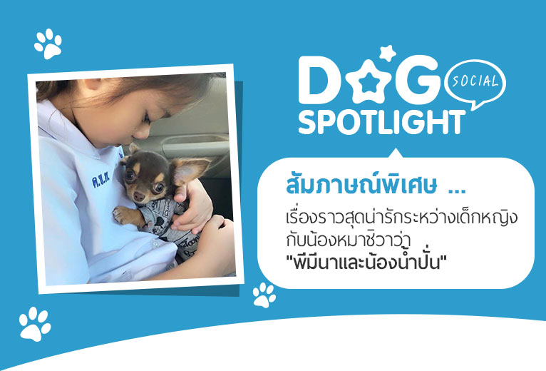 Dogilike.com :: ɳ ... ͧǹѡҧ˭ԧѺͧҪ չйͧӻ