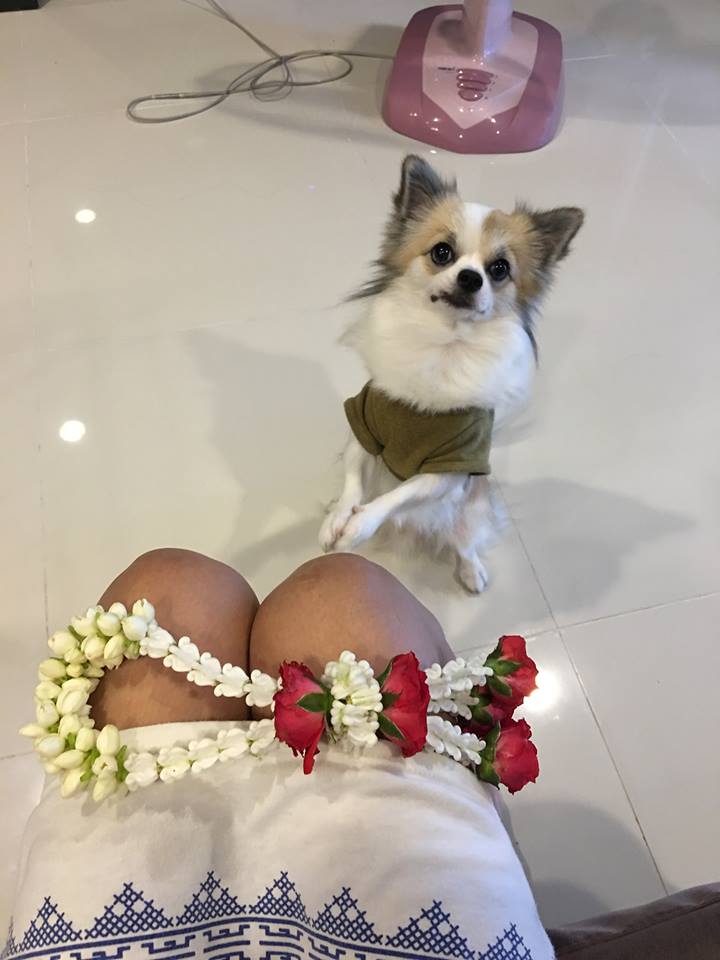 Dogilike.com :: ɳ ... öѧ-ѧ ҢͧԻͧҢͧѧ͵