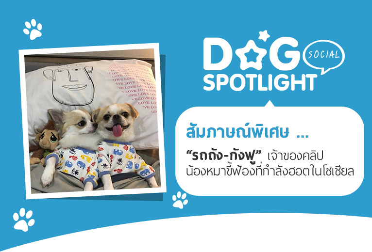 Dogilike.com :: ɳ ... öѧ-ѧ ҢͧԻͧҢͧѧ͵