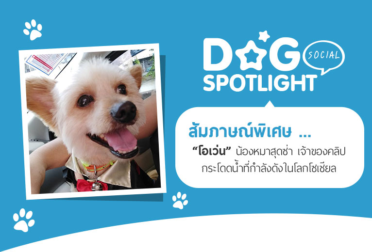Dogilike.com :: ɳ ...  ͧش ҢͧԻⴴӷѧѧš