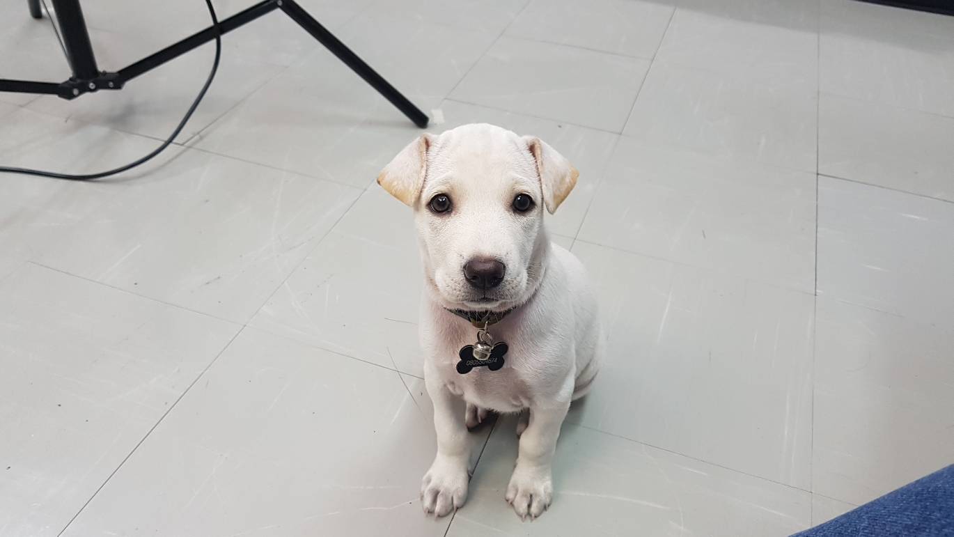 Dogilike.com :: ɳ ... ͹ Ҵ١͹ ͡պҹͺѧش㹪Ե