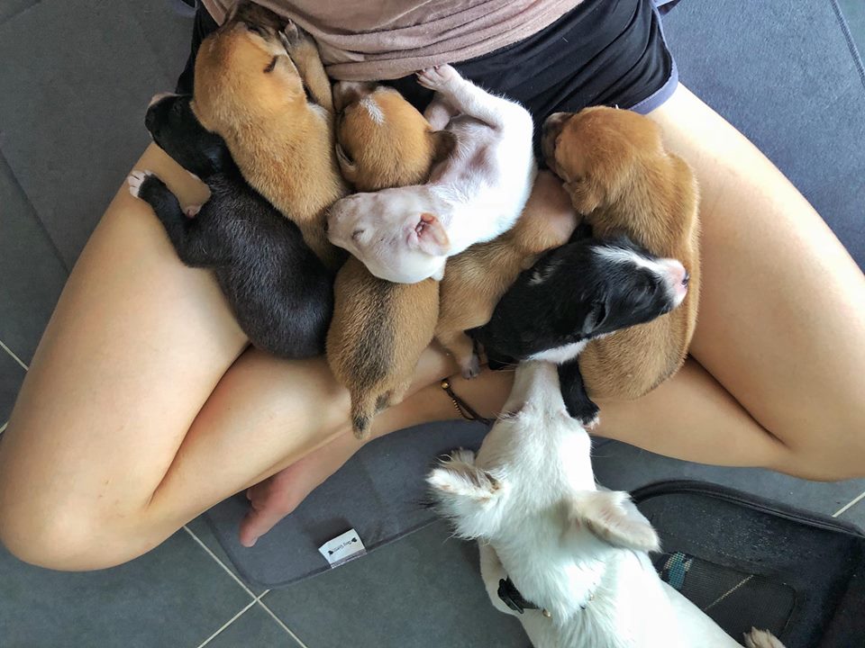 Dogilike.com :: ɳ ... ͹ Ҵ١͹ ͡պҹͺѧش㹪Ե