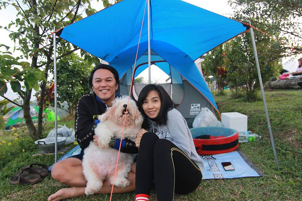 Dogilike.com :: ɳ ... ʹԹ Ҿҡҧ繷 ѺǤԴ  Ѻͺ