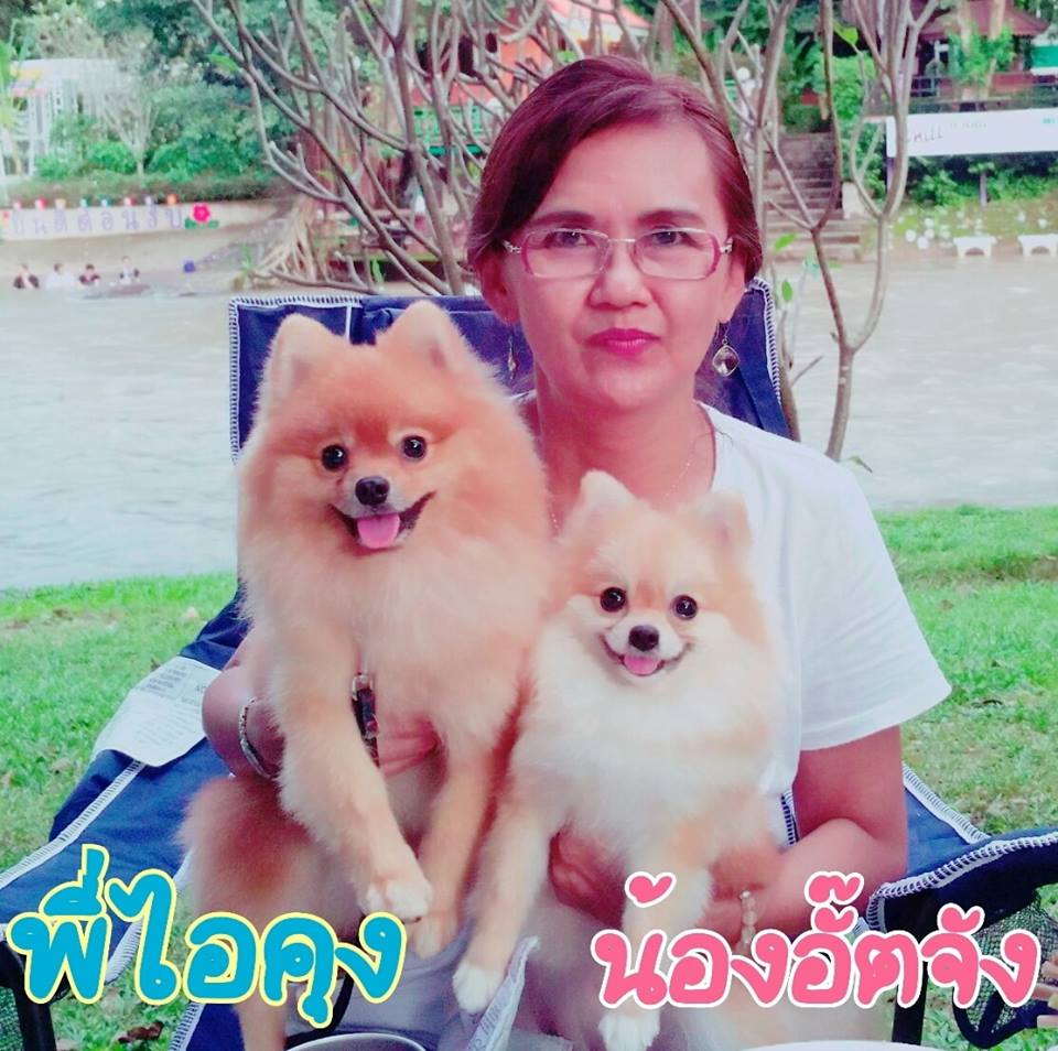 Dogilike.com :: ɳ ... ʹԹ Ҿҡҧ繷 ѺǤԴ  Ѻͺ