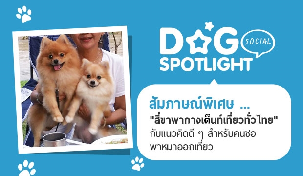 Dogilike.com :: ɳ ... ʹԹ Ҿҡҧ繷 ѺǤԴ  Ѻͺ
