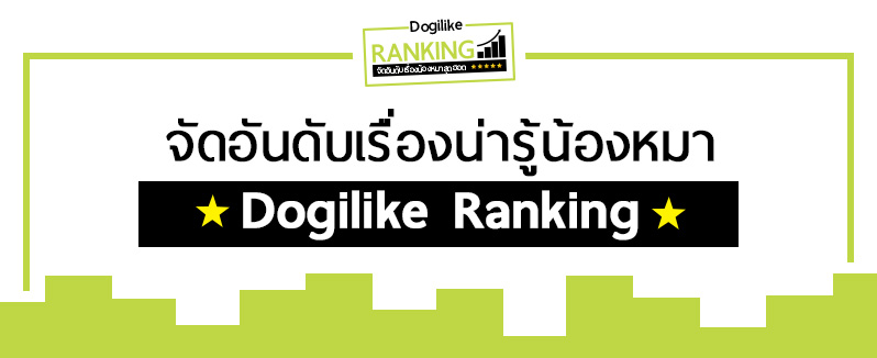 Dogilike.com :: ѴѹѺ 5  §ͧҴǧջШӻ 2561 