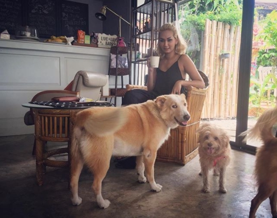 Dogilike.com :: Wagging Tales Cafe ͧ()شѡ @Թ