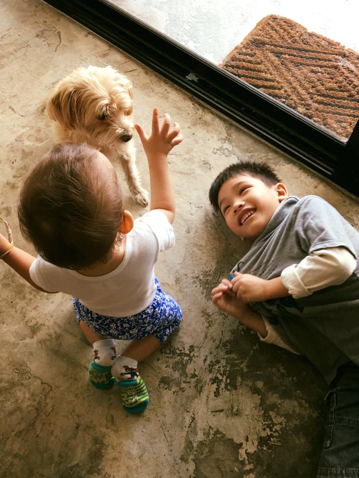 Dogilike.com :: Wagging Tales Cafe ͧ()شѡ @Թ