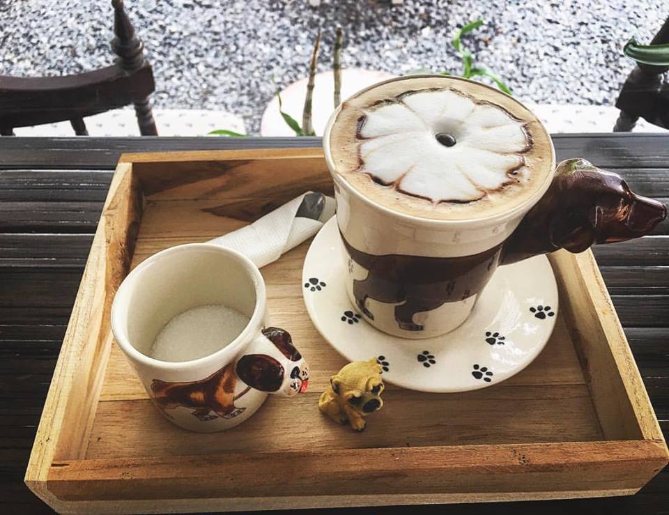 Dogilike.com :: Wagging Tales Cafe ͧ()شѡ @Թ