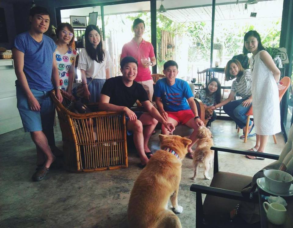 Dogilike.com :: Wagging Tales Cafe ͧ()شѡ @Թ