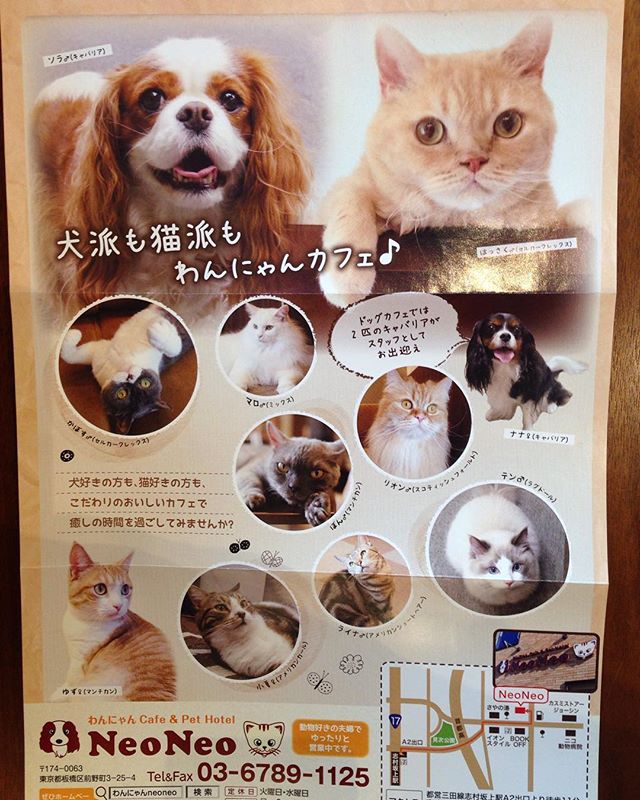 Dogilike.com :: Dogilike Review : 5 شԵ Ҵ!!