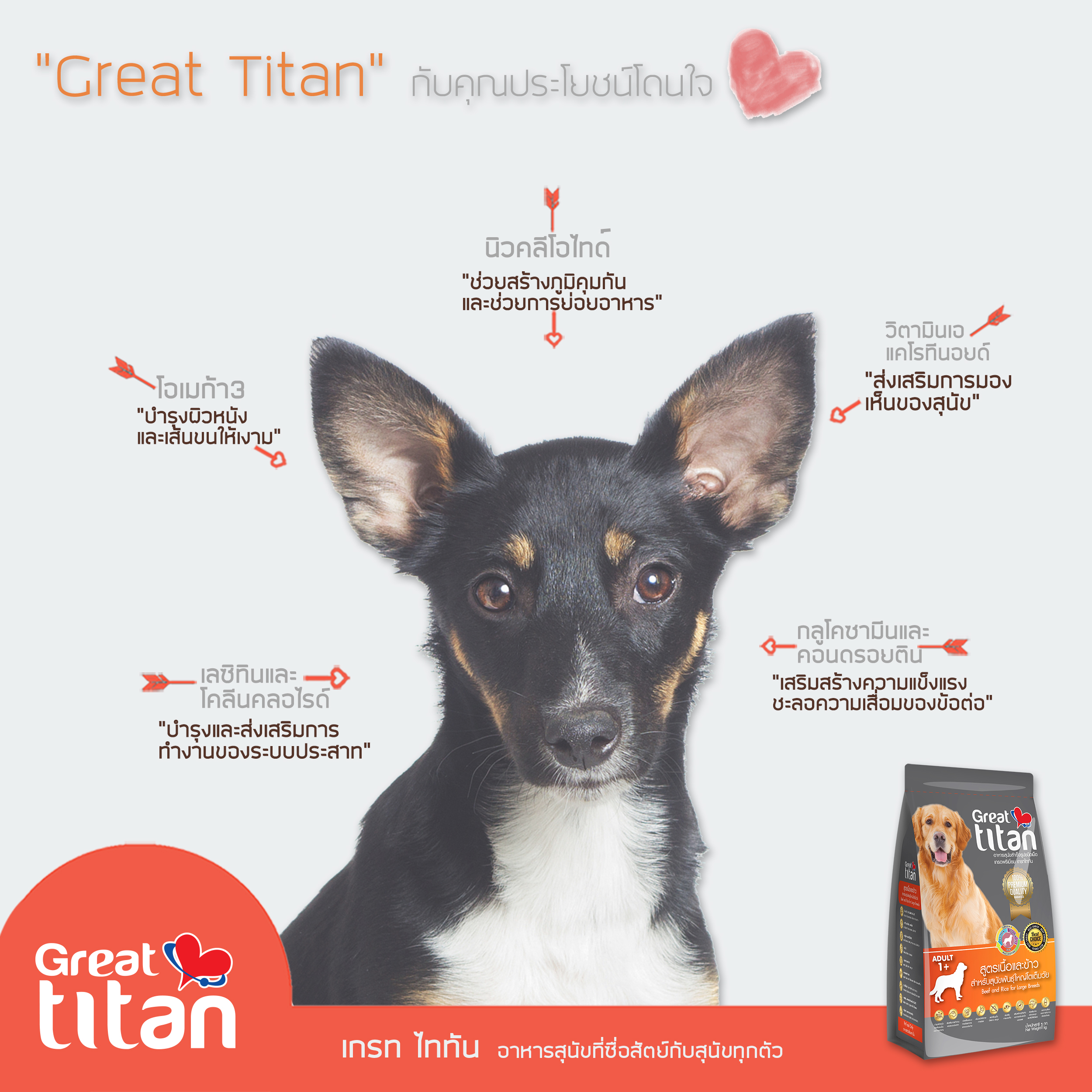 Dogilike.com :: ͹ѵշشعѢ Great titan