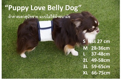 Dogilike.com ::  ѭҹͧѴ ҤҴعѢ PUPPY LOVE BELLY DOG 