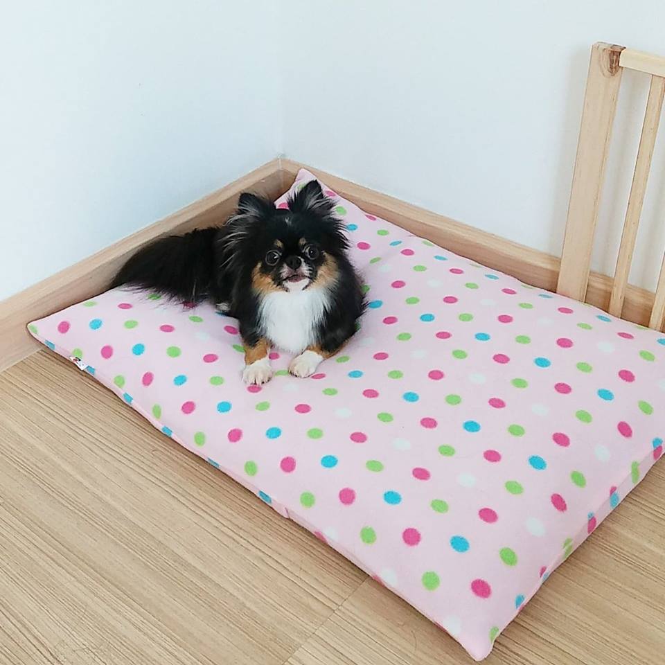 Dogilike.com :: ŹͧẺ   ͹͹ѵ§ѡ Puppy Love Pet Pillow